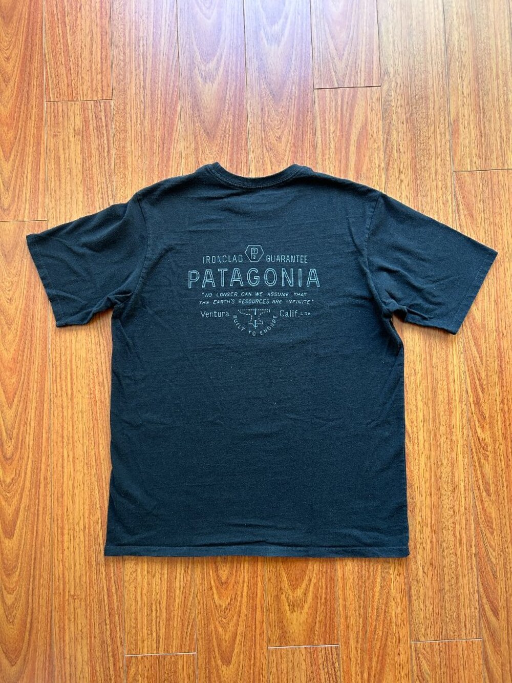 Patagonia Responsibili-Tee (Men's size S)